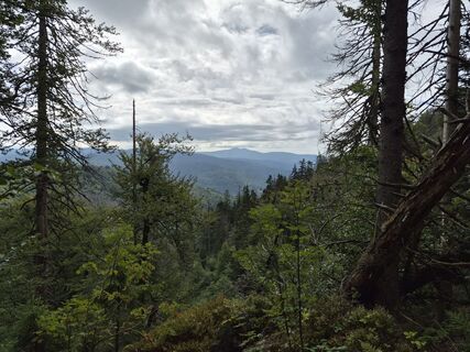 Foto von Wollomator entlang der Tour