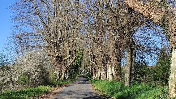 Fotografia z Bret Edith na trase