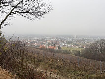 Foto de Peter Zaruba a lo largo del recorrido