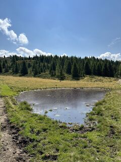 Foto från Filippo Dellanoce under resans gång