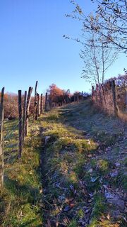 Zdjęcie z Kerstin Bunnenberg-Wurmer wzdłuż trasy