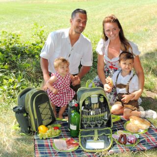 Ein PICKNICK in HOLLENTHON,... (Copyright: Karl Gradwohl)