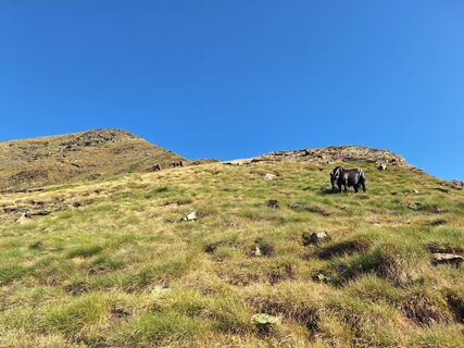 Photo de Magma le long du parcours