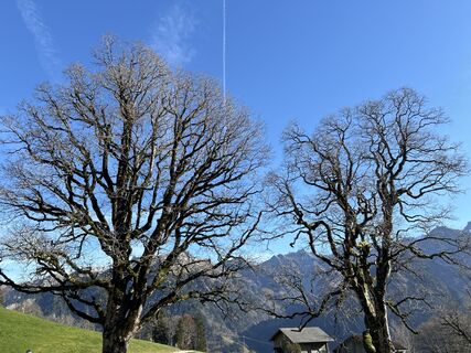 Fotografia z Ewald Zweifel na trase