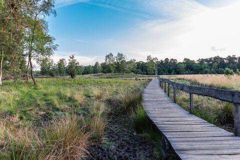 Bohlenweg Diersfordt