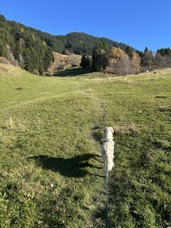 Photo de Bene Schadel le long du parcours