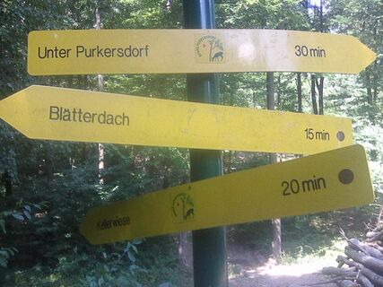 Wo gehts lang?