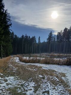 Foto de Raphael Riedler a lo largo del recorrido