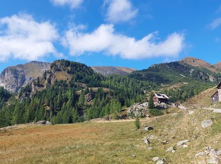 Foto från Conny Deutsch under resans gång
