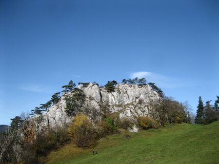 Geländ - Packles - Springles