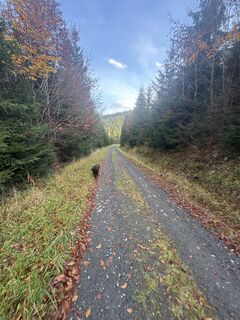Foto från Luděk Přibyl under resans gång