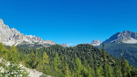 Photo de Michael Sparlund le long du parcours