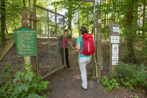 Zugang zum Wildschweinpark