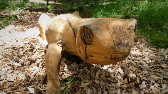 Holzskulptur Kröte_Nechnitz_Oststeiermark
