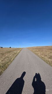 Foto från Moni under resans gång