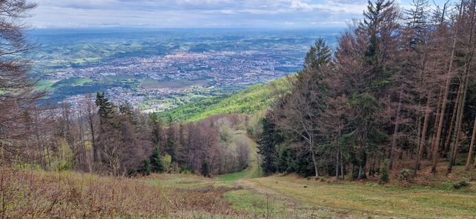 Foto da Štefan Sumper lungo il tour