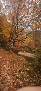 Foto de Nikolaus Zeller (Kirkalott) a lo largo del recorrido