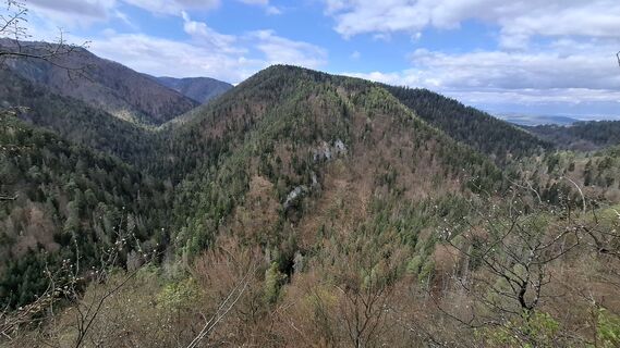 Foto de Vladimira Oleksikova a lo largo del recorrido