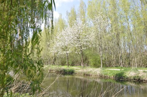 Entlang der Ems in Wiedenbrück