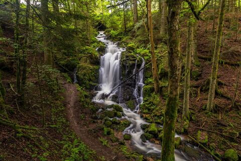 Windbergwasserfall in St Blasien