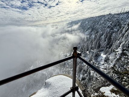 Fotografija s spletne strani Natur_erleben_dg na poti