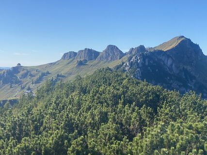Photo de Voltzi le long du parcours