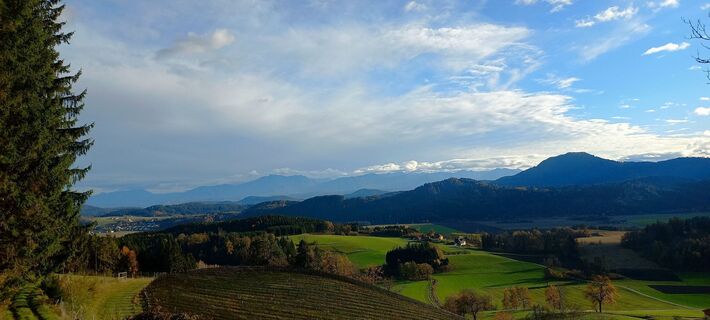 Foto von Schoby entlang der Tour