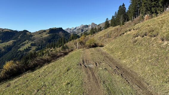 Foto von peter_oe entlang der Tour