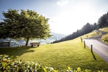 Zöpflweg-Brixen_Mathäus Gartner_201814 - Kopie.jpg