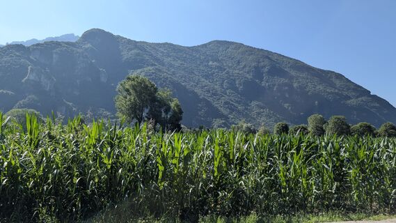 Foto von Arend Derksen entlang der Tour