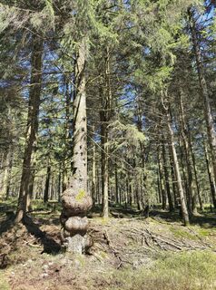 Foto da Jana Rudloff lungo il tour