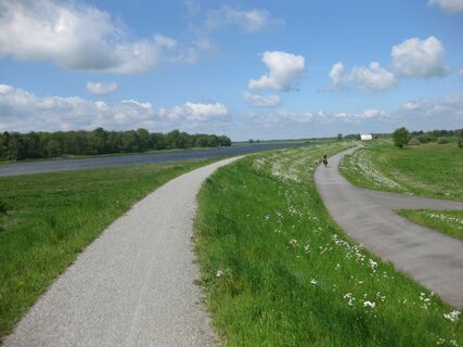 Elbdeich