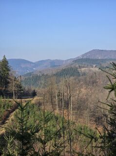 Foto von Martina Gerneck entlang der Tour