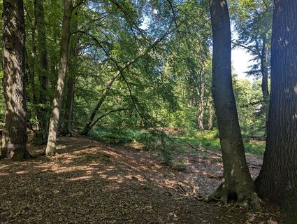 Photo de Matje Derks le long du parcours