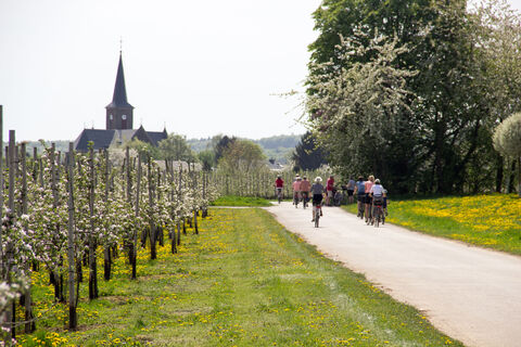 Radfahren im Frühjahr