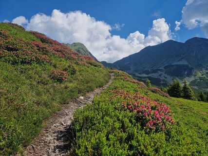 Photo de Gabi Köberl le long du parcours