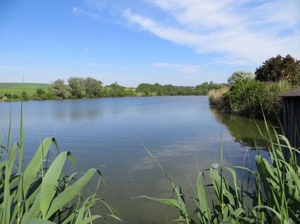 Nexinger Teich