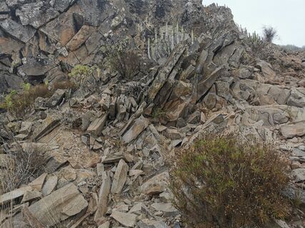 Photo de Andreas le long du parcours