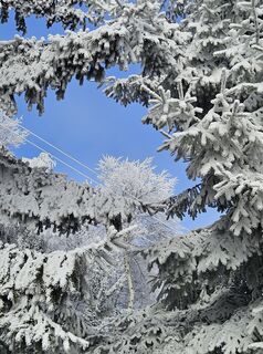 Foto von Franz Russ entlang der Tour
