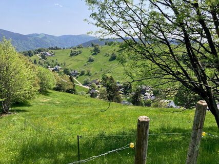 Blick auf Hofsgrund