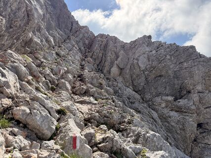 Foto von Natur_erleben_dg entlang der Tour