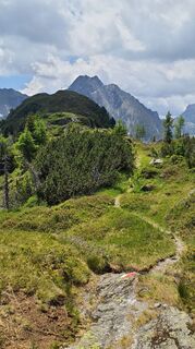 Fotografia z owspu2stk na trase