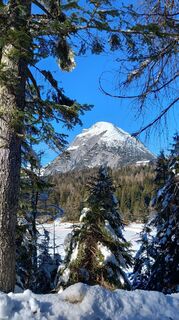 Foto da Lisi Brunner lungo il tour