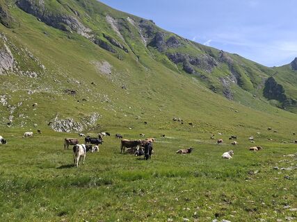 Foto von Karl-Heinz Martin entlang der Tour