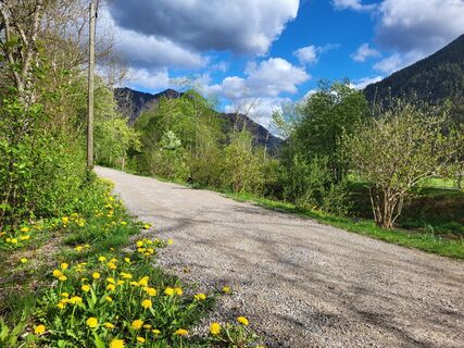 Entlang der Rottach