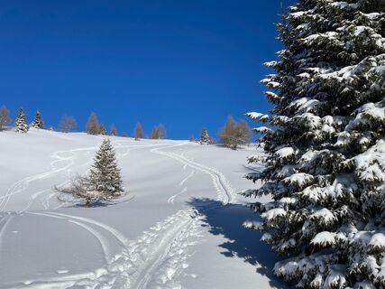 Spittal Alm