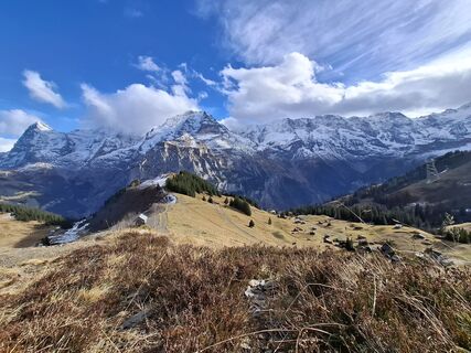 Fotografia z Maurer Silvia na trase