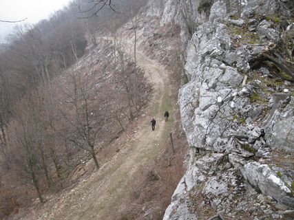 Gaisstein