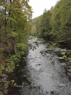 Photo de Rossel Reinhardt1 le long du parcours