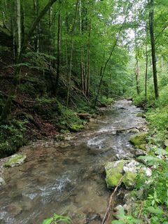 Foto van Viktoria Ellinger langs de tour